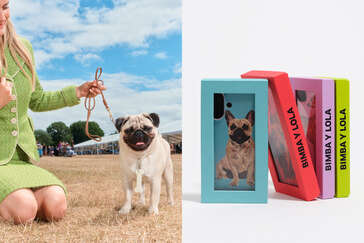 Dog Collection